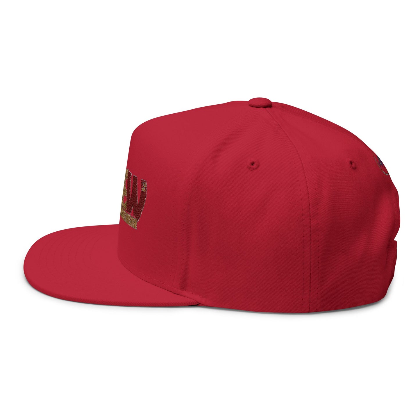Third Eye Wide Wear | Flat Bill Cap (Embroidery)